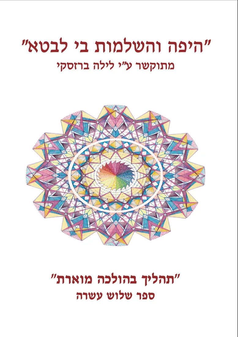 כריכת ספר 13