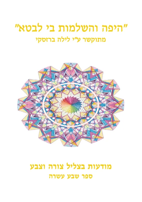 כריכת ספר 17